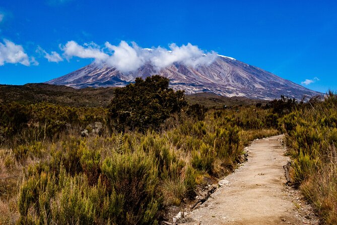 5 Day Mount Kilimanjaro Climbing via Marangu Route - Midnight summit push, Gillman’s Point, and a sunrise that hits hard