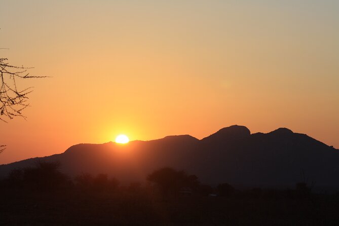 5-Day private Camping Safari Tour in Tanzania - Day 1 Tarangire: Elephants, Baobabs, and That First Big-Wow Drive