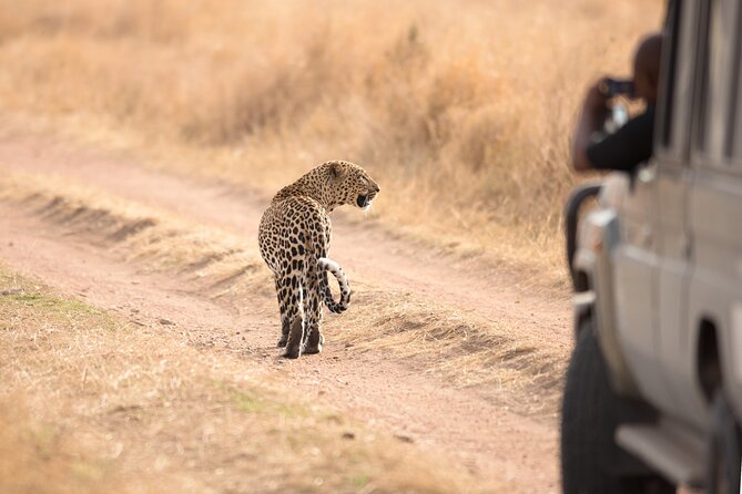 5-Day Private Camping Tour to Serengeti, Ngorongoro & Tarangire - Tarangire National Park: elephants, baobabs, and a picnic lunch rhythm