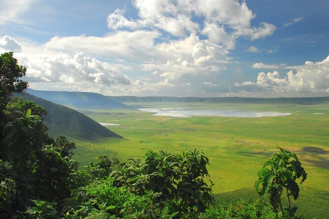 5 Day Private Guided Wildebeest Migration Tour - Days 3 and 4 Serengeti: Mara River Timing Plus Two Chances to Hit It