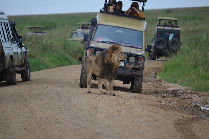 5 Day Private Lodge & Camping Tour of Tarangire, Serengeti & Ngorongoro Crater - Key things I’d notice before booking