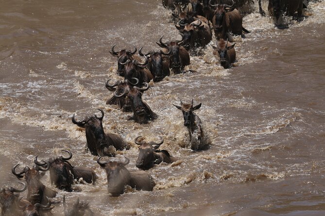 5-Day Private Northern Tanzania Safari from Arusha - Ngorongoro crater full day: Lake Magadi and the caldera scale