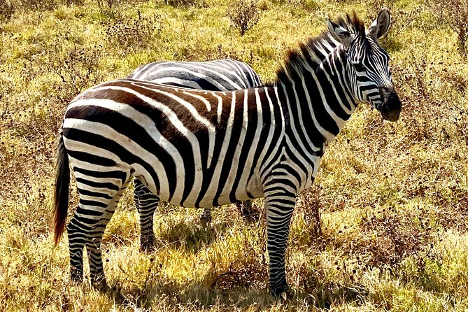 5-Day Private Safari in The Serengeti with Accommodation - Lake Manyara: tree-climbing lions, flamingos, and baboons up close