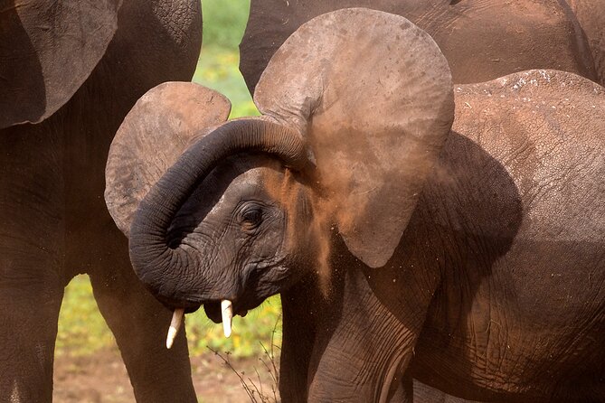 5-Day Private Safari Tour in Northern Tanzania - Price and value: what $2,500 per person covers