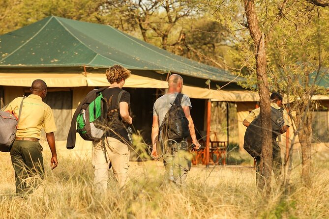 5-Day Private Safari Tour in Tanzania's Wildlife - Day 4 Ngorongoro Crater: The 600-Meter Descent and the Bowl Effect