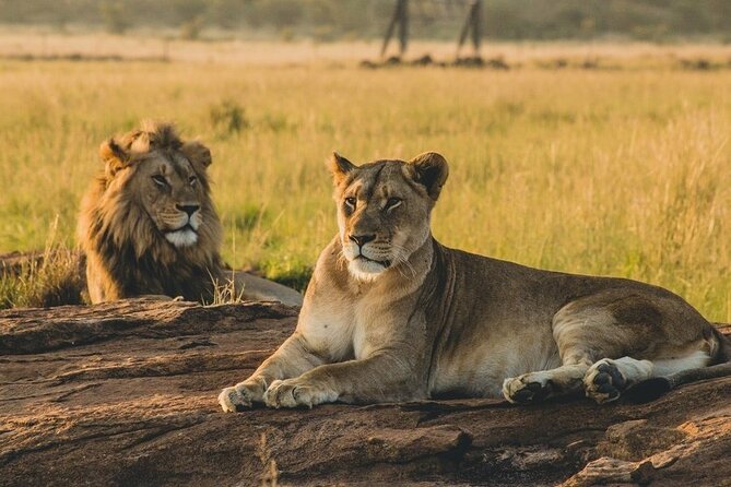 5-Day Private Tour in Mikumi National Park and Udzungwa Mountain - Key Highlights That Make This Trip Worth It