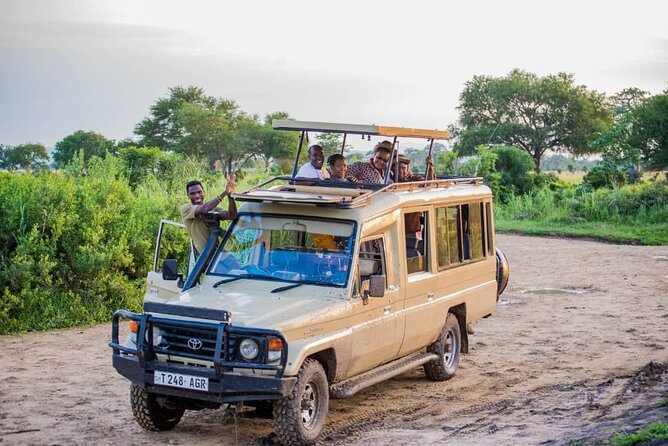 5-Day Private Tour in Mikumi National Park and Udzungwa Mountain - Day 2 and Day 3: The 6:30 AM Wildlife Rhythm