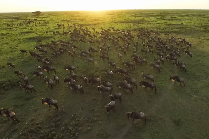 5 Day Serena Luxury Tanzania Safari - Luxury touches that are actually practical