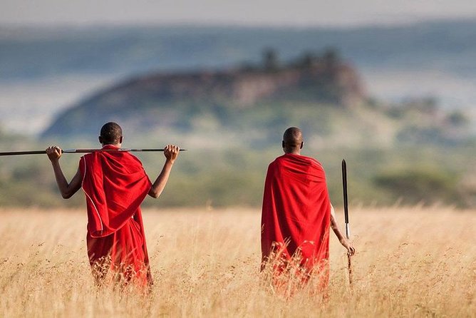 5 Day Serengeti Luxury Safari - Ngorongoro Conservation Area and Olduvai Gorge: crater country plus a human-evolution stop
