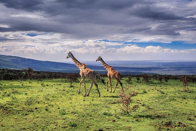 5 Day Serengeti Luxury Safari - Price and logistics: what $4,000.21 per person buys you, and what still costs extra
