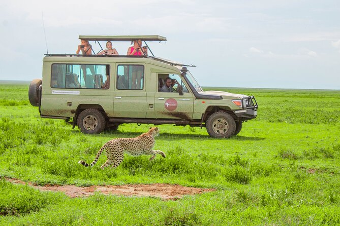 5 Day Serengeti Luxury Safari - Tarangire National Park: elephants, baobabs, and a picnic-style game drive day