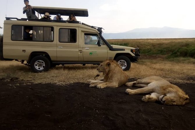5 Day Silver Serengeti & Ngorongoro Crater & Tarangire Safari - Day 2 Serengeti base camp, Heritage Camps and Lodges Luxury Tented Camp
