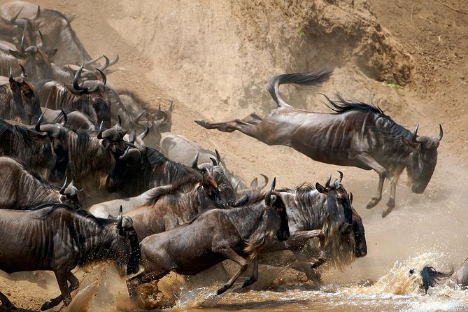 5 Days / 4 Nights Join group safari - Arusha to Tarangire: First Park, Big-Scene Wildlife