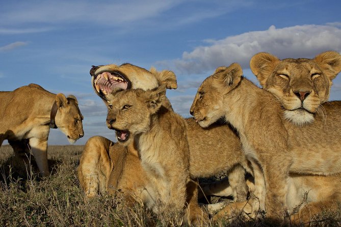 5 Days / 4 Nights Join group safari - Lake Manyara Finish: A Different Feel, Still Worth the Ride