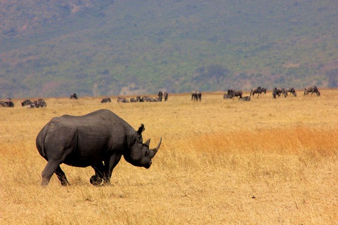 5 Days 4 Nights Tarangire, Serengeti , Ngorongoro & Manyara Wildlife Safari - Serengeti First Look: Crater Highlands to Endless Plains