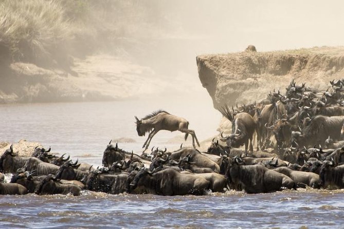 5 Days 4 Nights Tarangire, Serengeti , Ngorongoro & Manyara Wildlife Safari - Tarangire National Park: Elephants, Predators, and Bird Fever