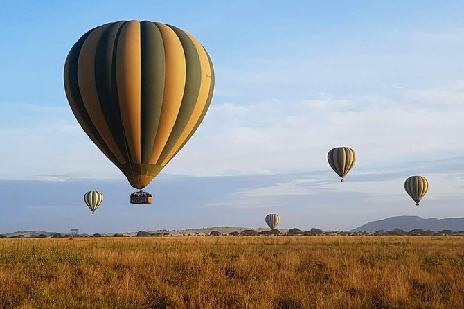 5 Days African Safaris - Guides make or break the wildlife experience