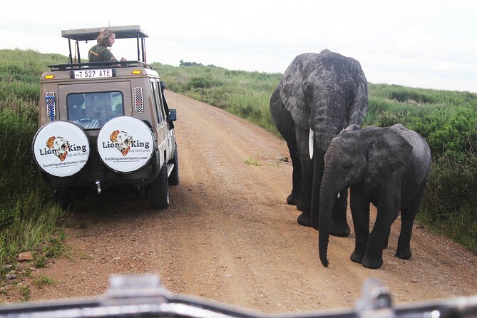 5 Days Best of Tanzania Luxury Safari Northern Circuit - Day 5 Lake Manyara: Birds, Primates, and the Tree-Lion Possibility