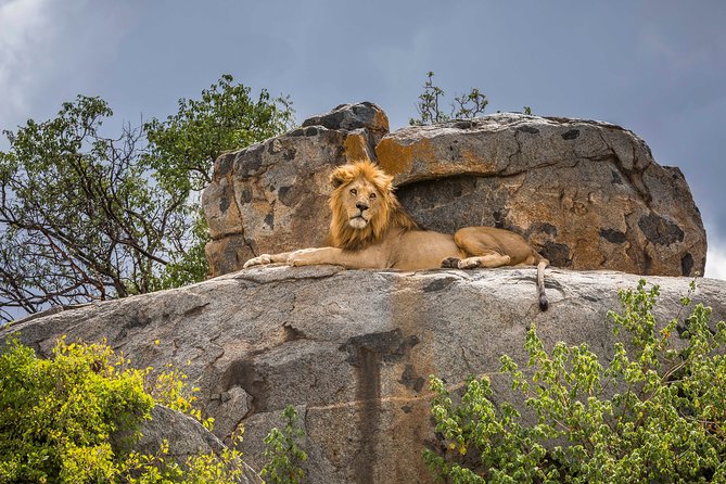 5 Days Budget Private Safari, Tanzania - Day 2 Serengeti drive: long roads, big-country scale, sunset driving