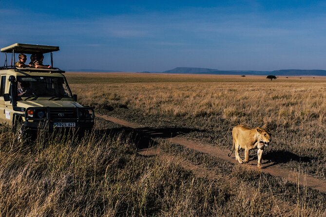 5 Days Budget Safari in Tanzania - Day 1 Tarangire National Park, Baobab Giants and Elephant Herds