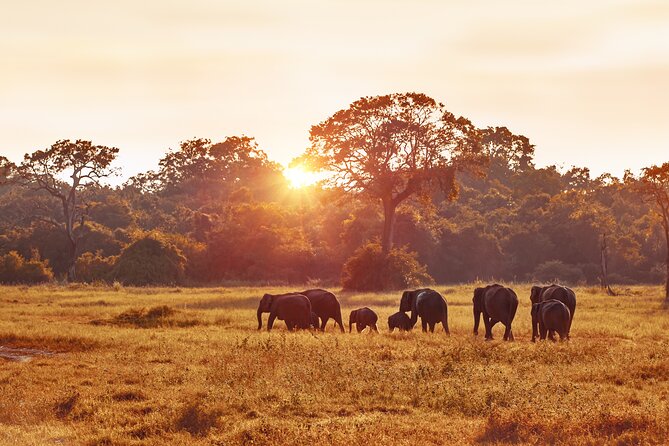 5 Days Budget Safari in Tanzania - Day 4 Ngorongoro Crater Descent, Rhino Possibilities and Hippo Lake Lunch