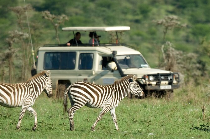 5 Days Budget Safari in Tanzania - Day 2 Serengeti National Park, The Road In and a Sunset Drive