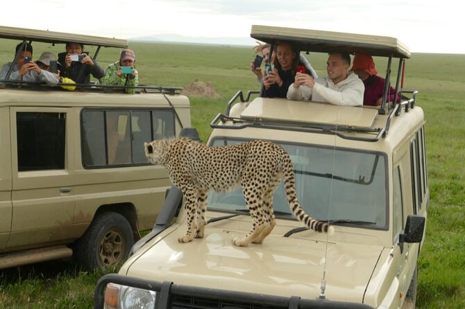 5 Days Camping Tarangire, Serengeti & Ngorongoro crater & Visiting Maasai - Maasai visit versus the village stop: ask how it fits your dates