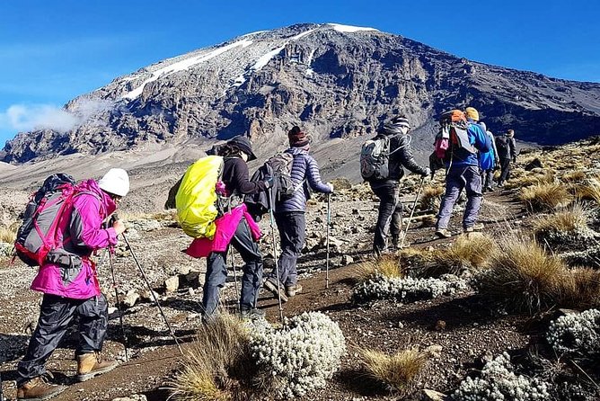 5 Days cheapest Kilimanjaro Marangu Route - Key Things I’d Watch Before You Choose Marangu