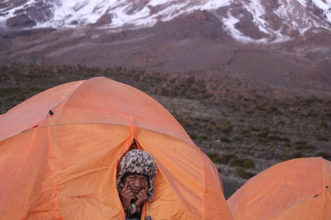 5 Days cheapest Kilimanjaro Marangu Route - Day 2: Moorlands, Lobelias, Kibo and Mawenzi Views, Horombo Hut