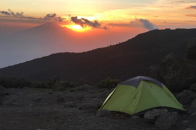 5 Days cheapest Kilimanjaro Marangu Route - Day 5: Steady Descent, Mandara Return, Lush Forest to Marangu Gate, Back to Arusha