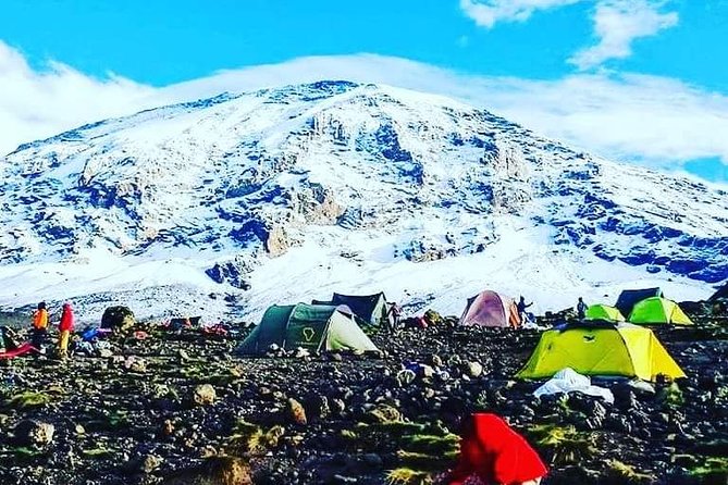 5 Days cheapest Kilimanjaro Marangu Route - Day 1: Park Gate, Rainforest Steps, and Mandara Hut at 9,000 ft