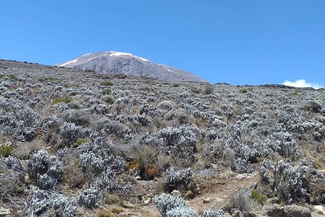 5 Days Climbing Mount Kilimanjaro Marangu Route - Comfort on the Marangu route: huts, beds, and solar light reality