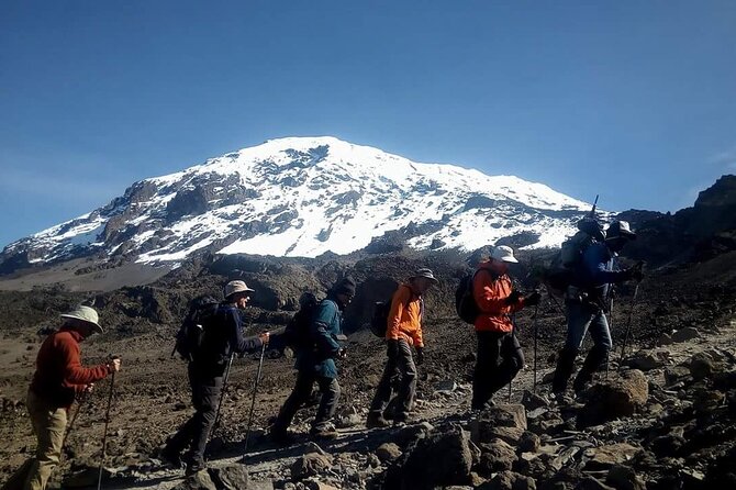 5 Days Climbing Mount Kilimanjaro Marangu Route - Day 2: Forest to moorland, first serious peak hints