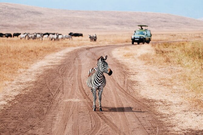 5 Days Exclusive Camping Adventure in Northern Tanzania - Small-Group Safari Energy, from Arusha to the Crater
