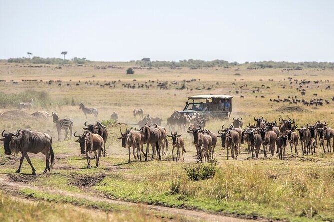 5 Days Exclusive Camping Adventure in Northern Tanzania - The Big-Picture Plan: Why This Route Makes Sense