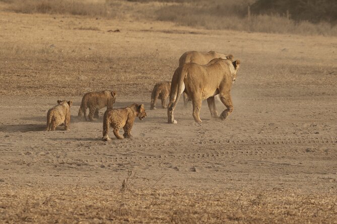 5 Days Group Camping Safari - Key highlights at a glance