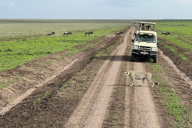 5-Days Lake Manyara, Serengeti, Ngorongoro Crater and Tarangire - Tarangire on Day 5: baobabs, elephant herds, and the end back toward Arusha
