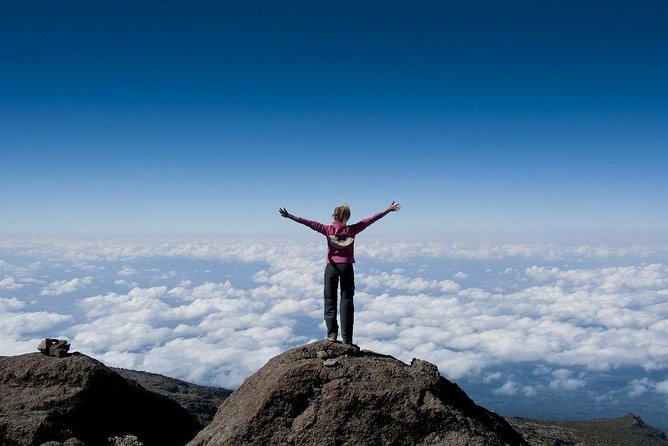 5 days Marangu Route - Mandara to Horombo Hut: timberline to moorland, plus Mawenzi and Kibo views