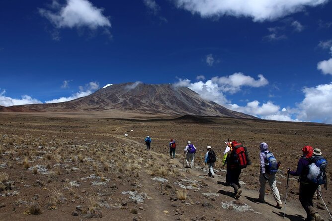 5 Days Marangu Route Kilimanjaro Climbing - Day 1, Moshi or Arusha to Kilimanjaro Park Gate and Mandara Hut at 2,700 m