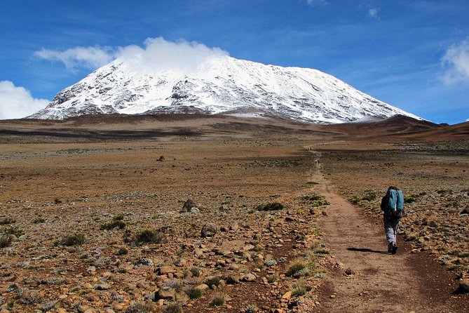 5 Days Marangu Route Kilimanjaro Trekking - Key things that make this Kilimanjaro trek worth your time