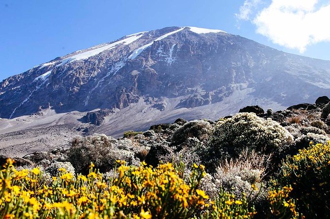 5 Days Marangu Route - Mount Kilimanjaro Trek - Guides, Group Size, and the Small-Group Feel (Up to 15 People)