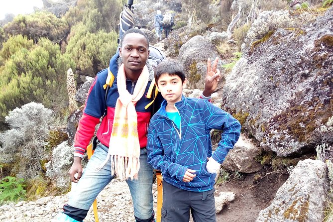5 Days Marangu Route - Mount Kilimanjaro Trek - Day 3 from Mandara to Horombo Hut: Timberline to Heath and Moor Zone