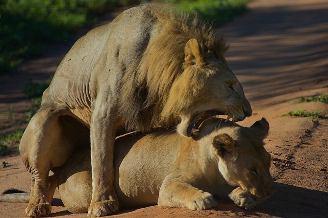 5 Days Northern Tanzania Safari- Lodging - A smart 5-day Northern Tanzania route from Arusha