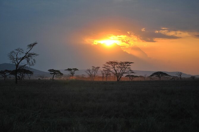 5 Days Northern Tanzania Safari- Lodging - Serengeti for two days: more time for herds and predator chances