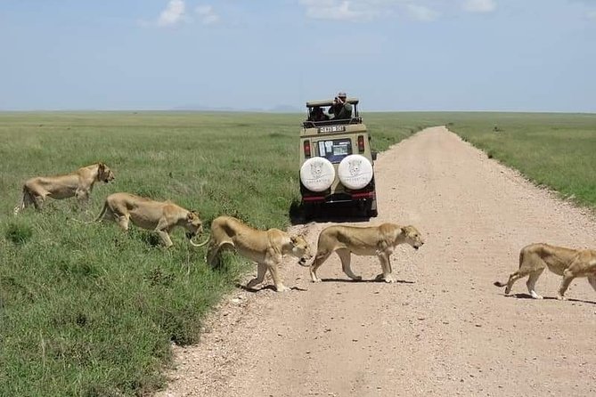 5-Days Private Midrange Safari: Serengeti, Ngorongoro & Manyara - Price and value: what you are paying for, and what you are not
