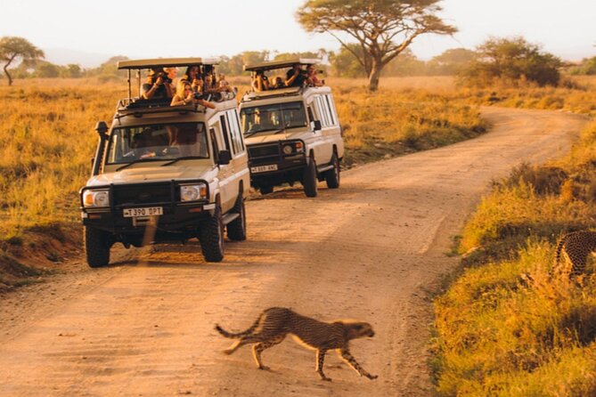 5-Days Private Midrange Safari: Serengeti, Ngorongoro & Manyara - Pace and packing: early mornings, open roofs, and comfort choices