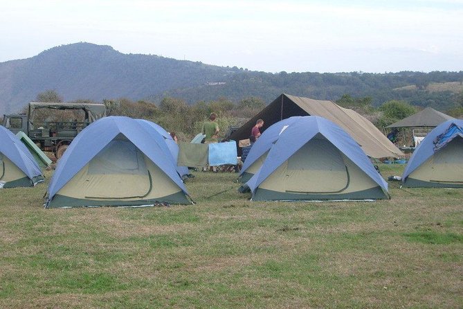 5 Days Private Safari- Tarangire, Serengeti, Ngorongoro & Manyara - Wildlife Expectations: What You’ll See, What You Should Aim For