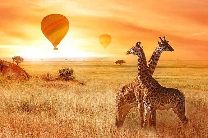 5 Days Private Safari- Tarangire, Serengeti, Ngorongoro & Manyara - Serengeti Afternoon: When the Plains Feel Endless