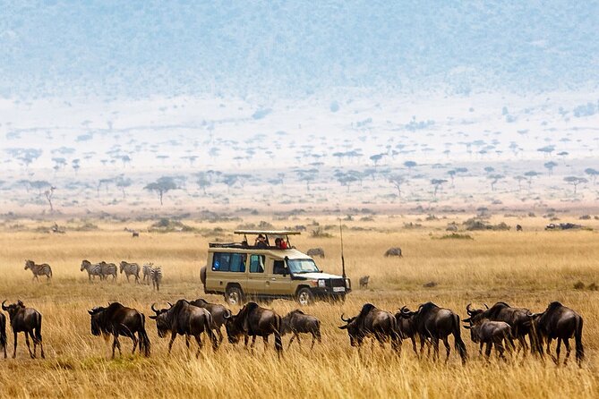 5-Days Private Safari Tour in Trangire, Serengeti, and Ngorongoro Crater - Key highlights to look for before you go