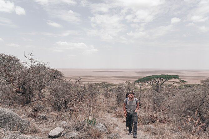 5-Days Private Safari Tour in Trangire, Serengeti, and Ngorongoro Crater - Arusha pickup and the simple flow into your safari